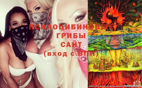 спиды Абаза